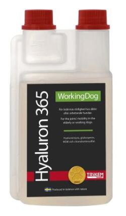 Working dog Hyaluron 365 500 ml