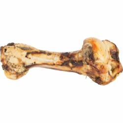 Jurassic Bone 30 cm
